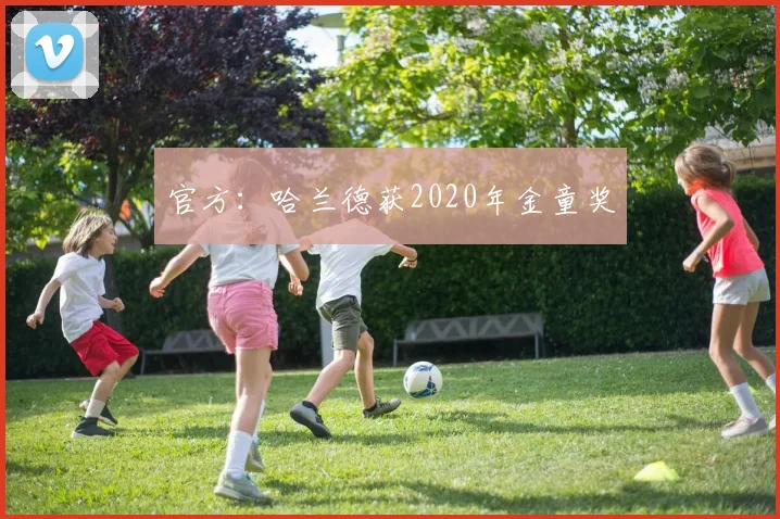官方：哈兰德获2020年金童奖