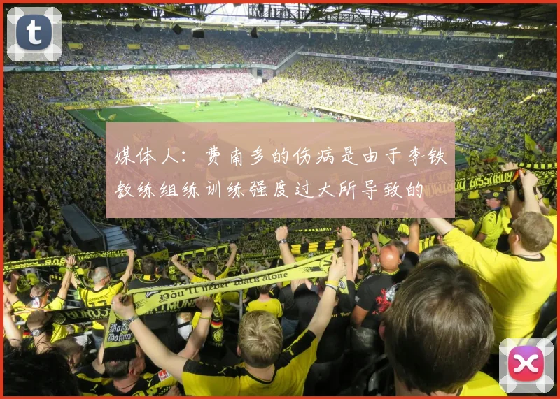 媒体人：费南多的伤病是由于李铁教练组练训练强度过大所导致的