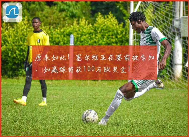 原来如此！塞尔维亚在赛前被告知，如赢球将获100万欧奖金！